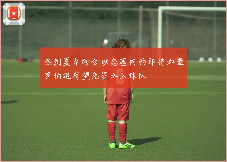 热刺夏季转会动态塞内西即将加盟罗伯逊有望免签加入球队