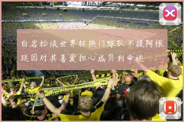 白岩松谈世界杯热门球队不提阿根廷因对其喜爱担心成贝利命运
