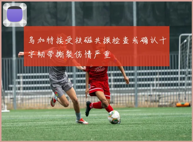 乌加特接受核磁共振检查或确认十字韧带撕裂伤情严重